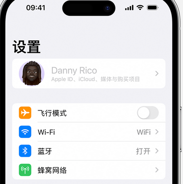 麻洋镇appleID维修服务iPhone设置中Apple ID显示为灰色无法使用 