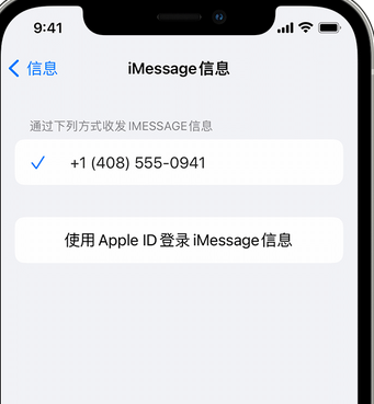 麻洋镇apple维修iPhone上无法正常发送iMessage信息