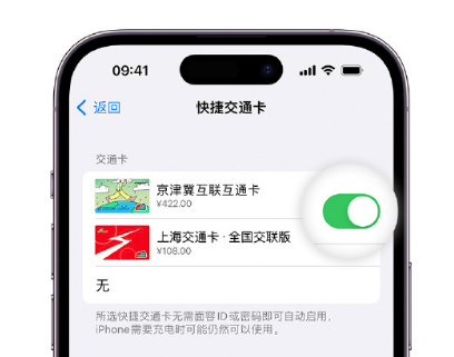 麻洋镇apple维修点分享iPhone上更换Apple Pay快捷交通卡手绘卡面 