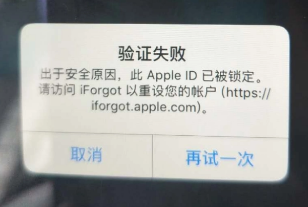 麻洋镇iPhone维修分享iPhone上正常登录或使用AppleID怎么办 