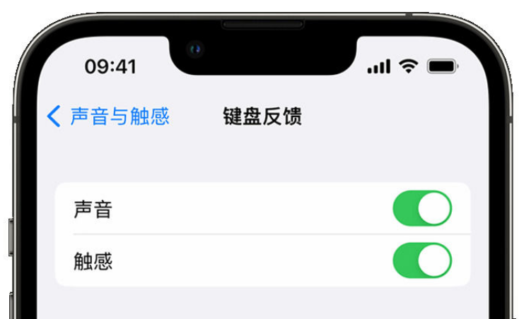 麻洋镇苹果手机维修分享iPhone 14触感键盘使用方法 