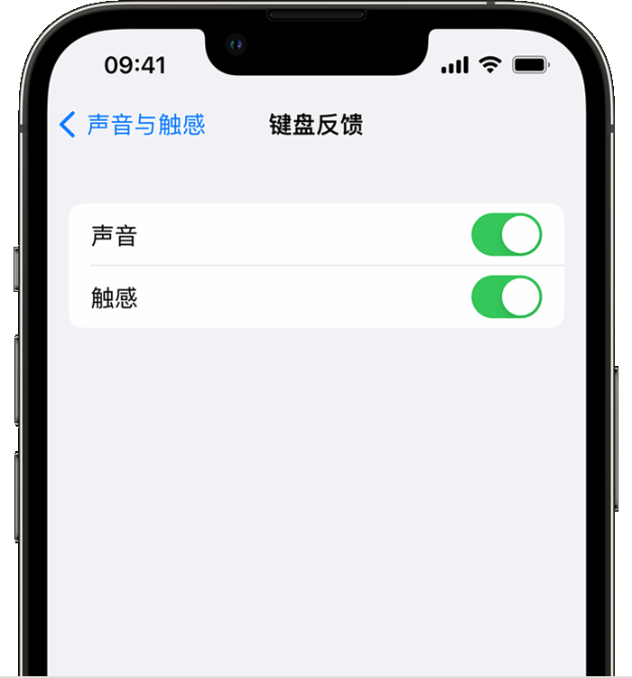 麻洋镇苹果14维修店分享如何在 iPhone 14 机型中使用触感键盘 