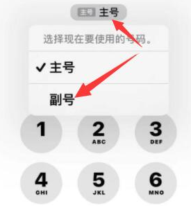 麻洋镇苹果14维修店分享iPhone 14 Pro Max使用副卡打电话的方法 