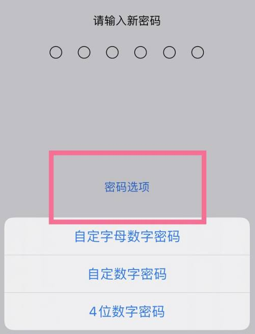 麻洋镇苹果14维修分享iPhone 14plus设置密码的方法 