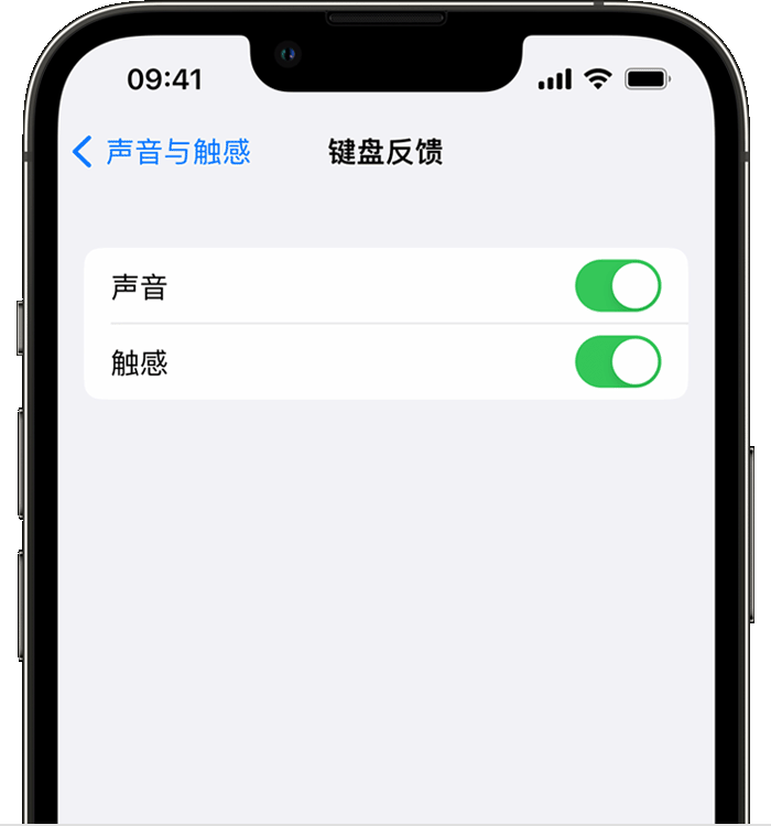 麻洋镇苹果14维修分享iPhone 14 系列机型如何开启键盘声音或触感反馈 