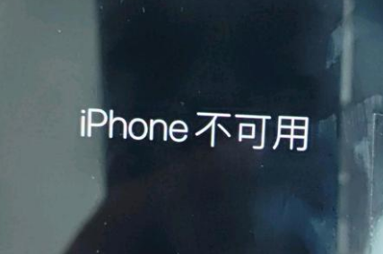 麻洋镇苹果服务网点分享锁屏界面显示“iPhone 不可用”如何解决 