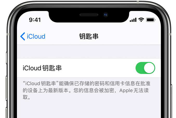 麻洋镇苹果手机维修分享在 iPhone 上开启 iCloud 钥匙串之后会储存哪些信息 