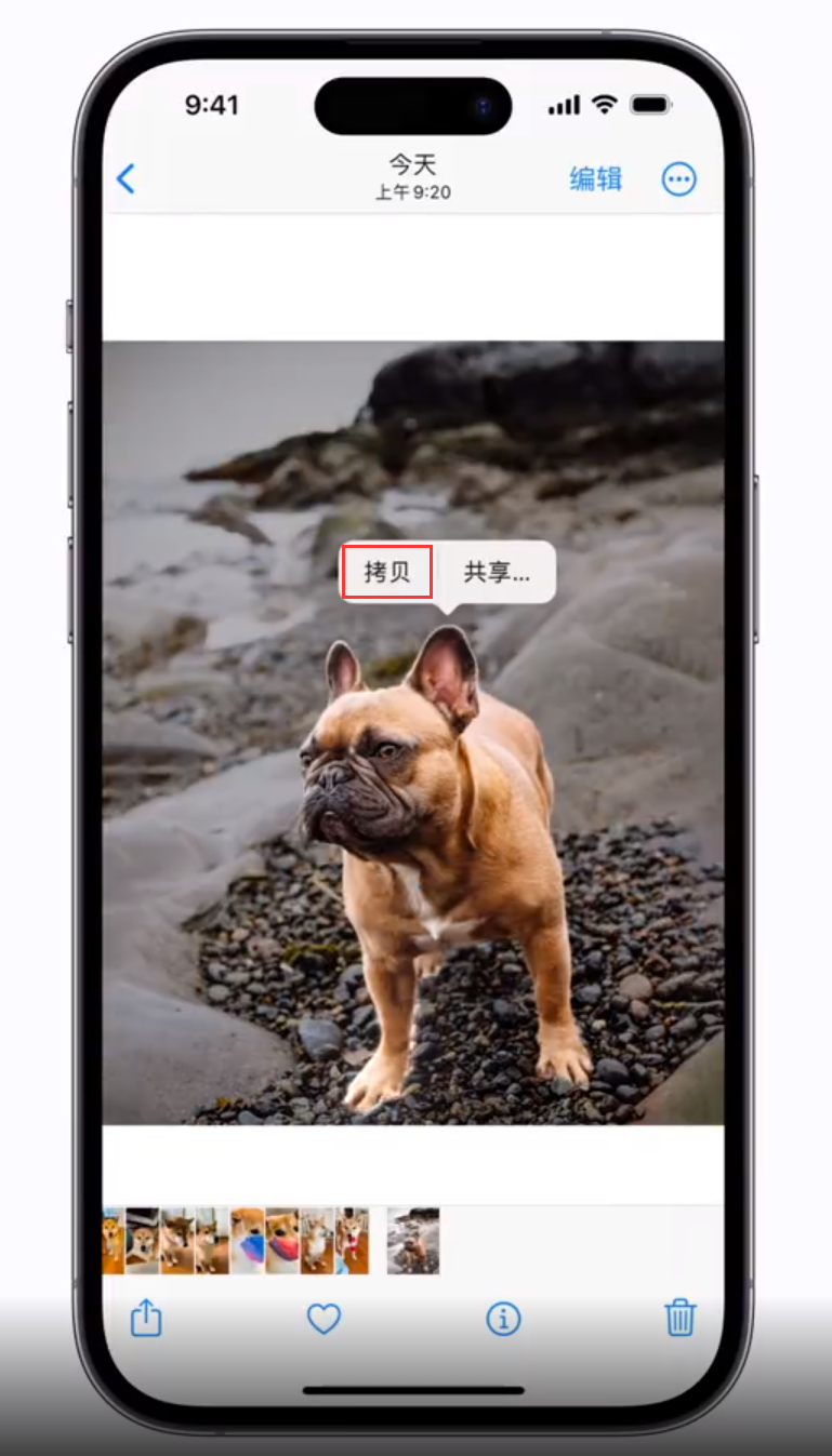 麻洋镇 苹果手机维修分享iOS 16 “照片”应用更新内容与改进汇总 