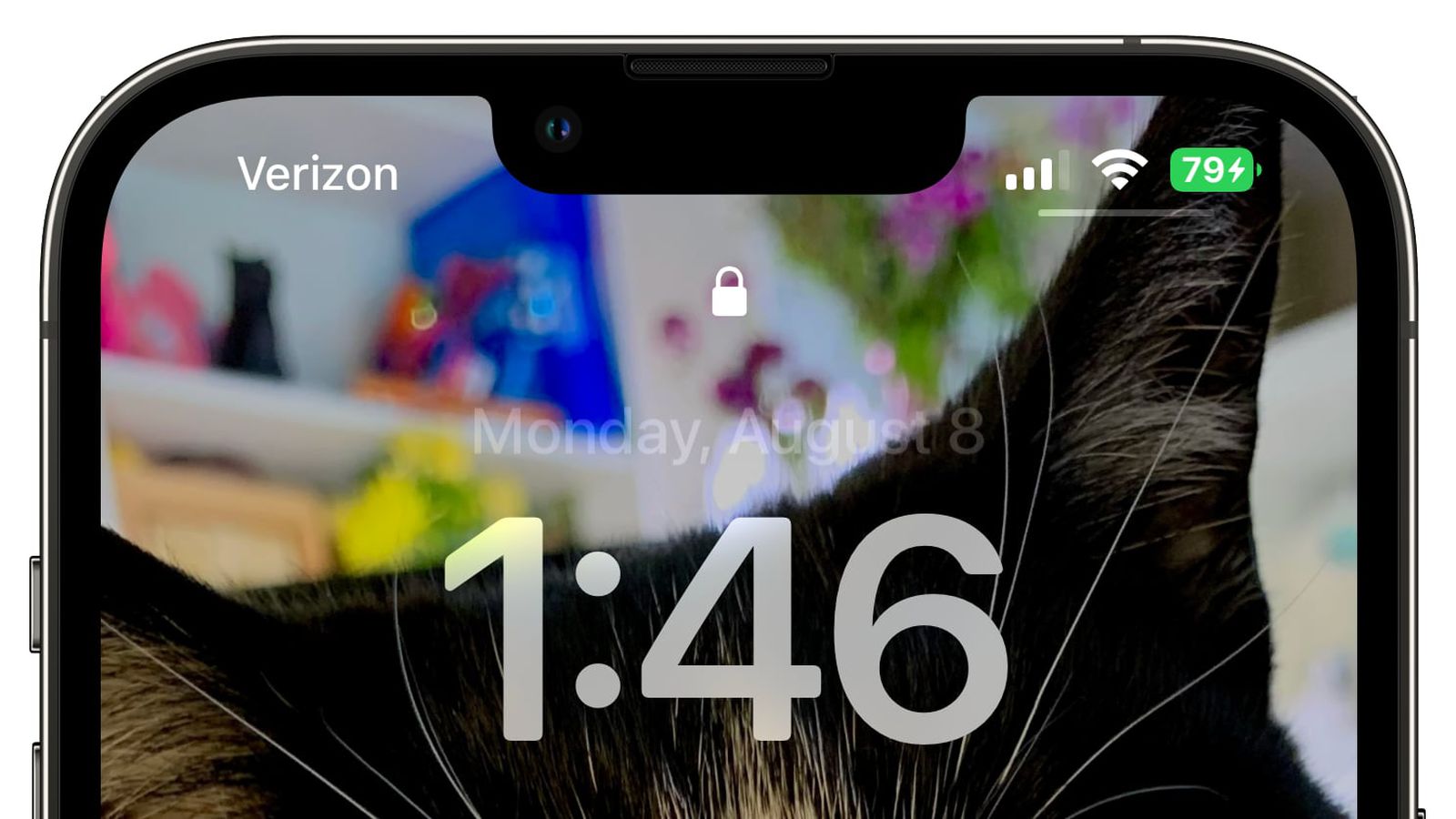 麻洋镇苹果手机维修分享iOS 16 beta 5 支持状态栏显示电池百分比，如何开启？支持哪些机型 