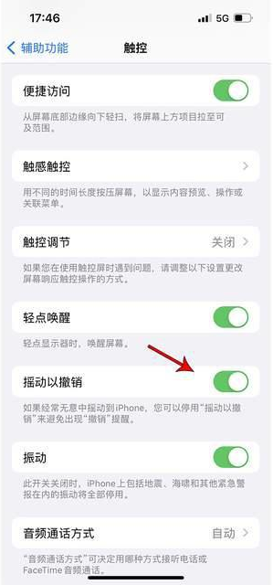 麻洋镇苹果手机维修分享iPhone手机如何设置摇一摇删除文字 
