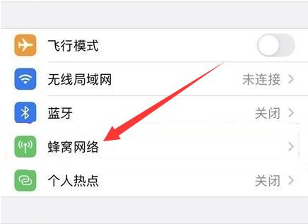 麻洋镇苹果手机维修分享iPhone手机4G网络怎么设置成5G网络 