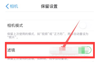 麻洋镇苹果13维修分享iPhone13拍照有绿点是怎么回事 