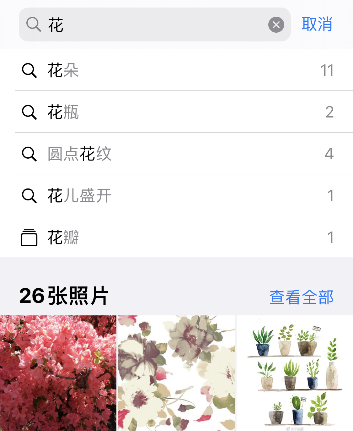 麻洋镇苹果手机维修分享iPhone 小技巧 
