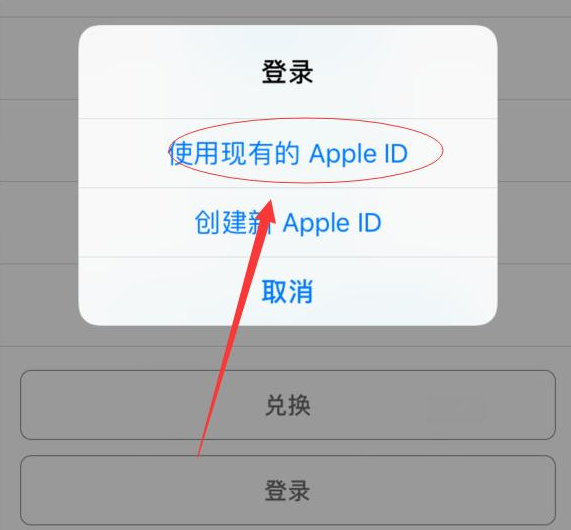 麻洋镇苹果手机维修分享两台iPhone设备可以同时登录一个Apple ID吗 