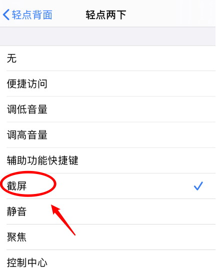 麻洋镇苹果手机维修分享iPhone12如何启用双击截屏 