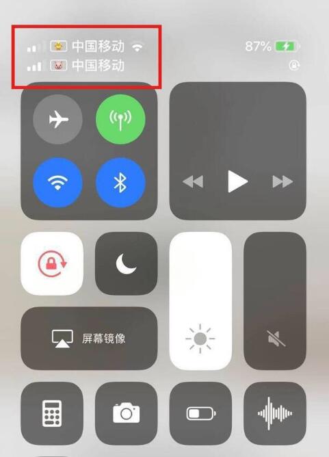 麻洋镇苹果手机维修分享为 iPhone 12 双卡设置标签 